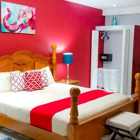 Casa Tamar Guest Apartment Kingston Extérieur photo